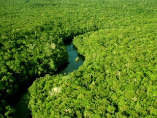 Amazonia