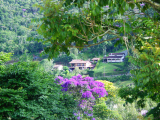 Mata Atlântica, Teresópolis, RJ